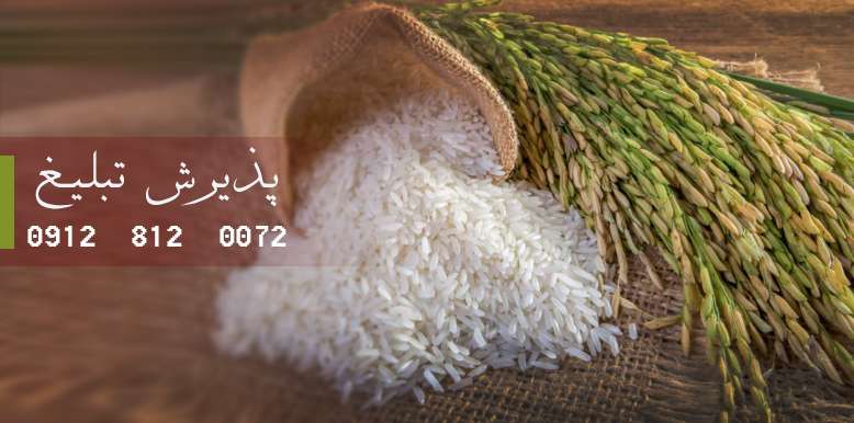 برنج و عمده مواد غذایی